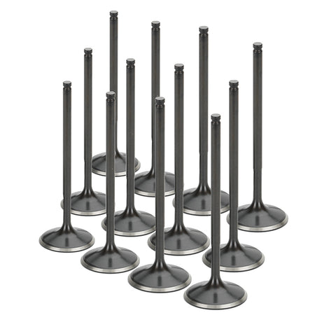 Set of 12 Stainless Steel Black Nitride Intake Valves for a Toyota / 1JZ-GTE - Oversize +1mm | Supertech Performance Engine Valves