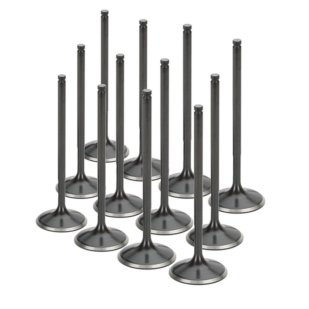 Stainless Steel Black Nitride Intake Valves for a Nissan / TB48 - Oversize +1.5mm | Supertech Performance Engine Valves