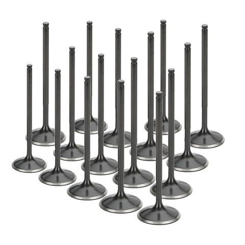 Set of 16 Stainless Steel Black Nitride Intake Valves for a Toyota / 3UR-FE V8 - Oversize +1mm | Supertech Performance Engine Valves