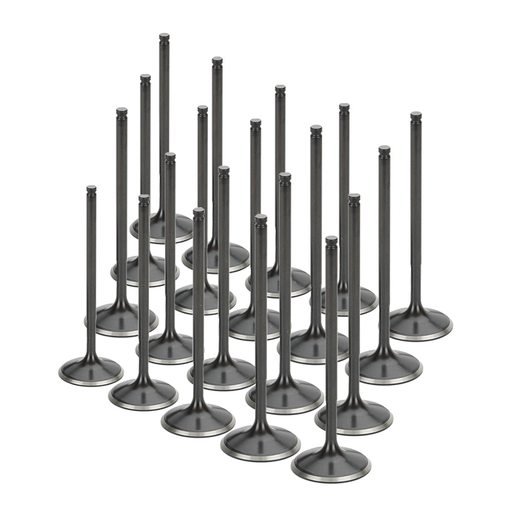 Stainless Steel Black Nitride Intake Valves for a Lamborghini / 5.0 / 5.2 V10 | Supertech Performance Engine Valves