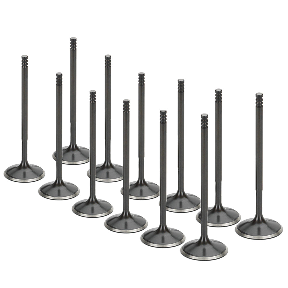 Stainless Steel Black Nitride Intake Valves for a BMW / S52 | Supertech Performance Engine Valves
