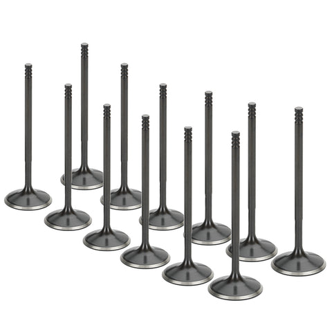Set of 12 Stainless Steel Black Nitride Intake Valves for a Ford / Coyote 5.0 Gen 2 | Supertech Performance Engine Valves