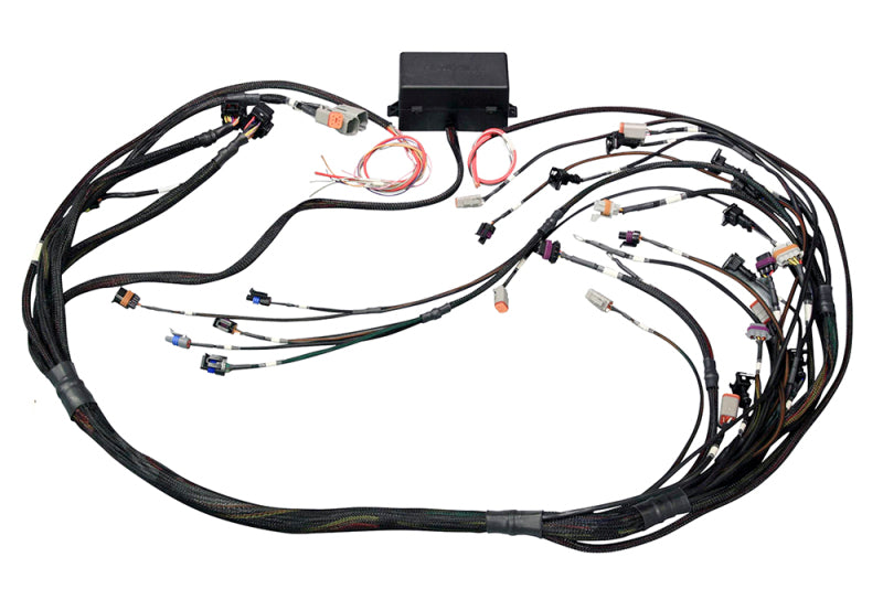 Haltech GM GEN IV LSX (LS2/LS3 Non DBW) Elite 2000/2500 Terminated Harness w/EV6 Inj Connectors