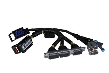 Infinity Core Accessory Wiring Harness for AEM 30-2853 IGBT Smart Coils with Ford Cyl Numbering