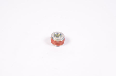 Radium Engineering 3/8in NPT Plug