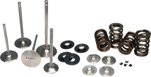 Ferrea Honda Type-R K20C1 Turbo Single Spring Kit (Requires RR1006)