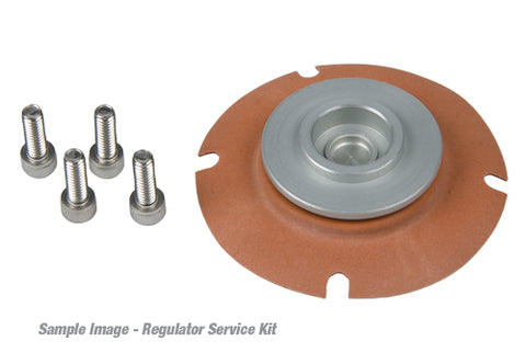 Regulator Repair Kit 13203.