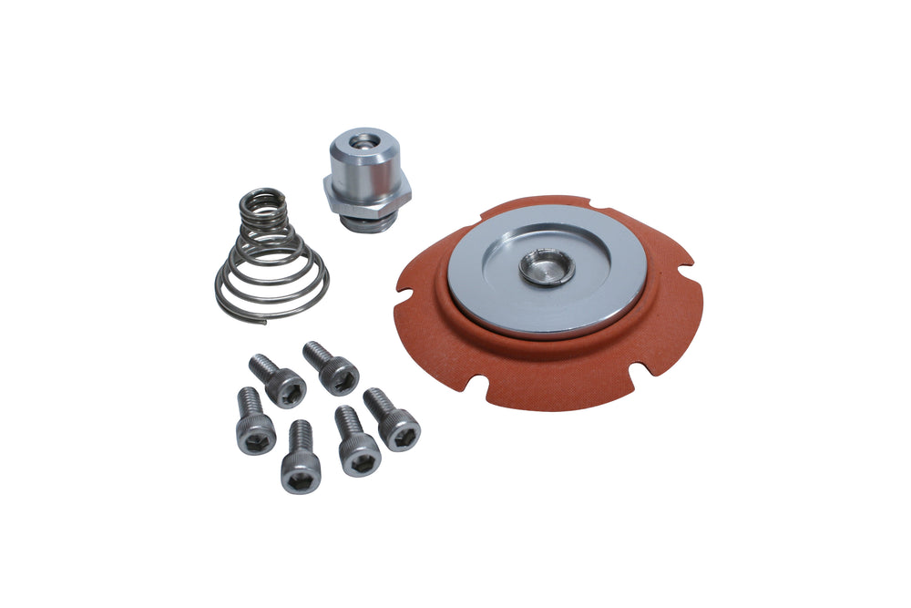 Carbureted Regulator Repar Kit, 13222.