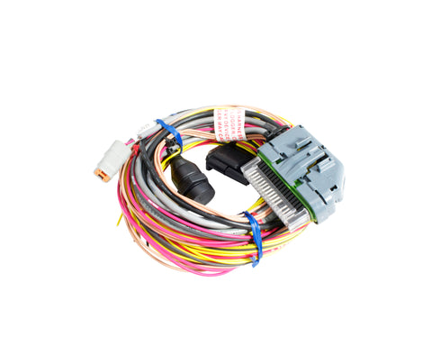 AQ-1 Data Logger 96-inch Flying Lead Wiring Harness