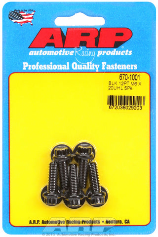 M6 x 1.00 x 20 12pt black oxide bolts
