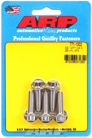 M8 x 1.25 x 25 12pt SS bolts