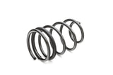 PRO-KIT Performance Springs (Set of 4 Springs)