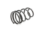 PRO-KIT Performance Springs (Set of 4 Springs)