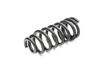 PRO-KIT Performance Springs (Set of 4 Springs)