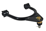 PRO-ALIGNMENT Camber Arm Kit