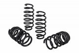 PRO-KIT Performance Springs (Set of 4 Springs)