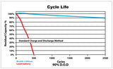 F31 - Fleet-Lite Lithium (Group 31) Starting & Deep Cycle battery