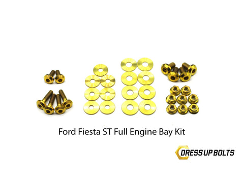 Ford Fiesta ST (2013-2017) Titanium Dress Up Bolt Engine Bay Kit