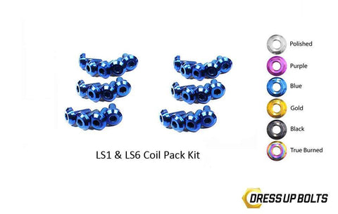 LS1 - LS6 Titanium Dress Up Bolts Coil Pack Kit (Corvette, Camaro, Trans AM, GTO)