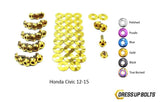 Honda Civic (2012-2015) Titanium Ti Dress Up Bolts Engine Bay Kit - DressUpBolts.com