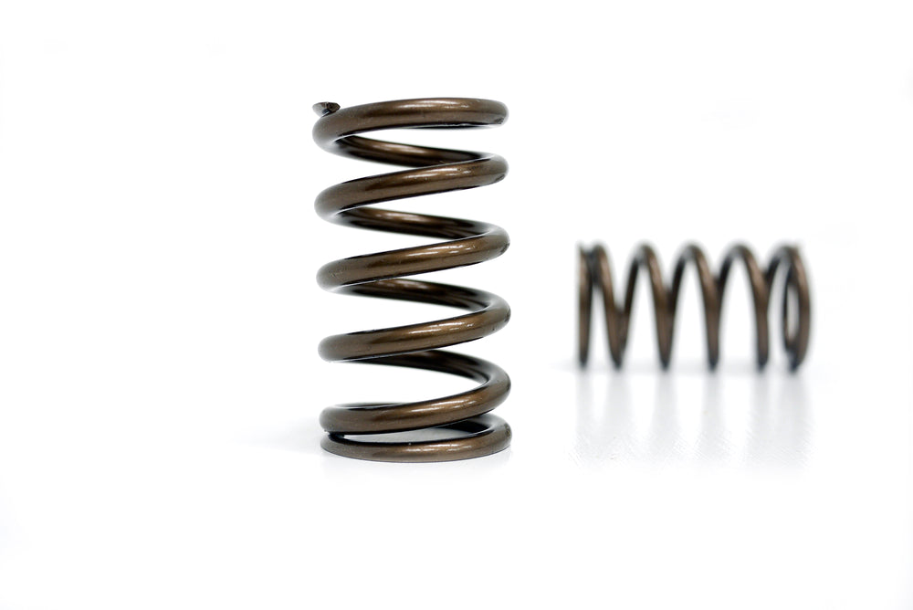 Toyota 1JZGTE Valve Spring Set