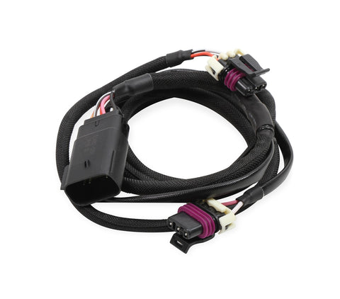 MSD LS Cam Sensor Harness; Rear; 24x/1x;