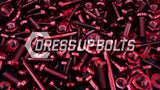 Ford Focus ST (2011-2014) Titanium Dress Up Bolt Engine Bay Kits - DressUpBolts.com